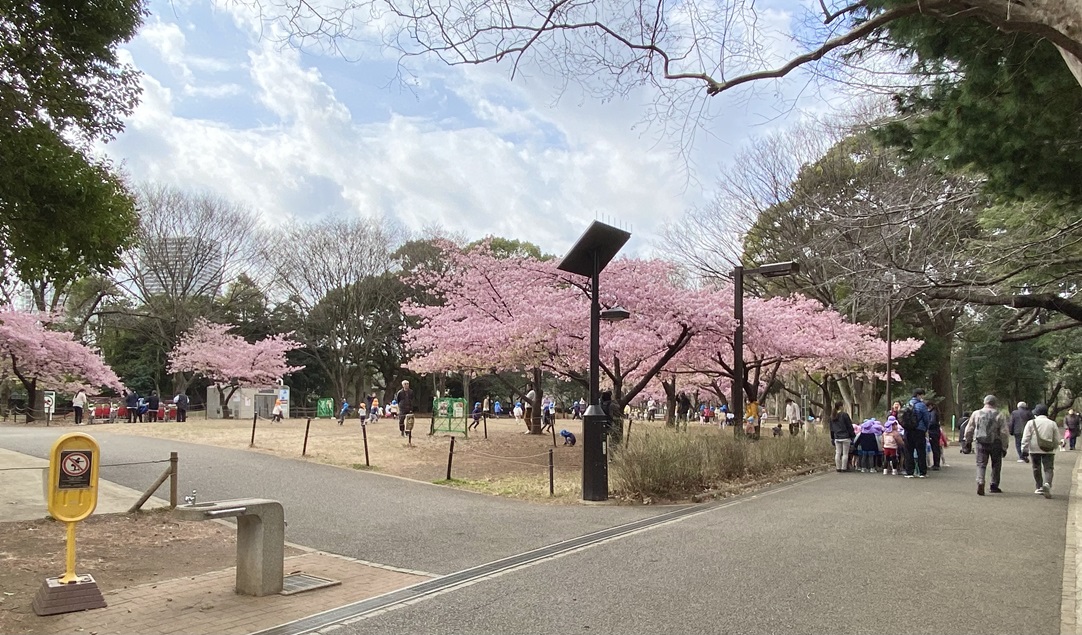 林試の森公園