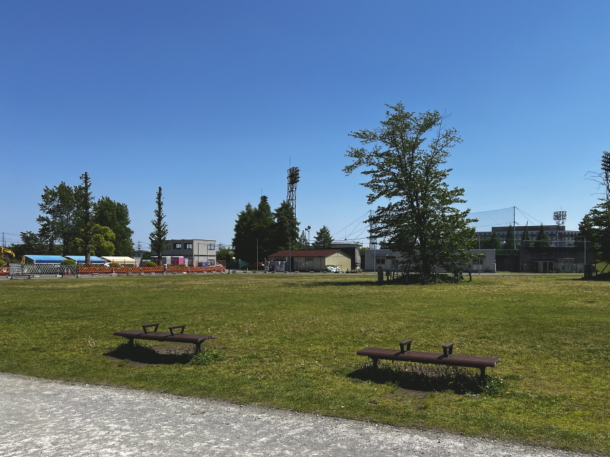 大沼公園芝生広場