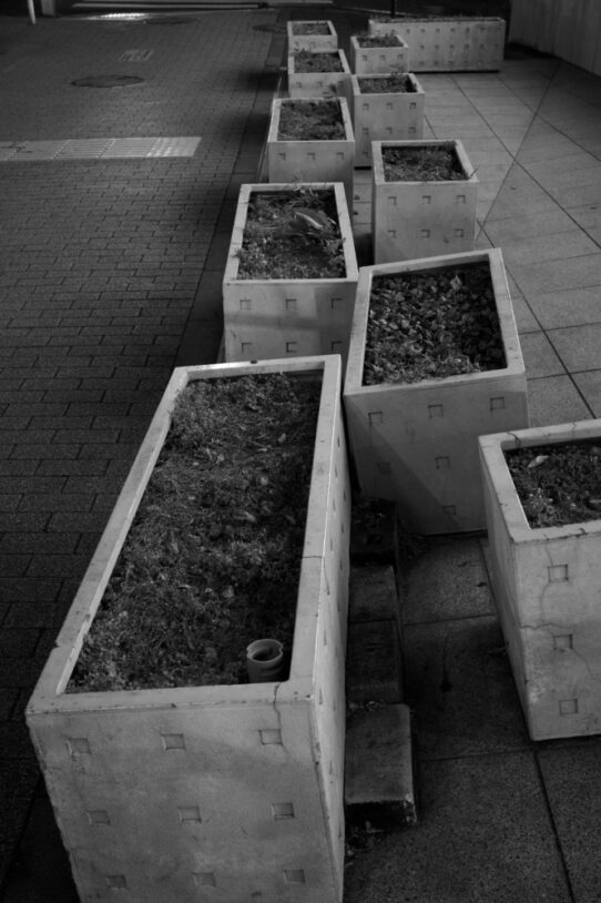 武蔵小山から目黒までフォトウォーク