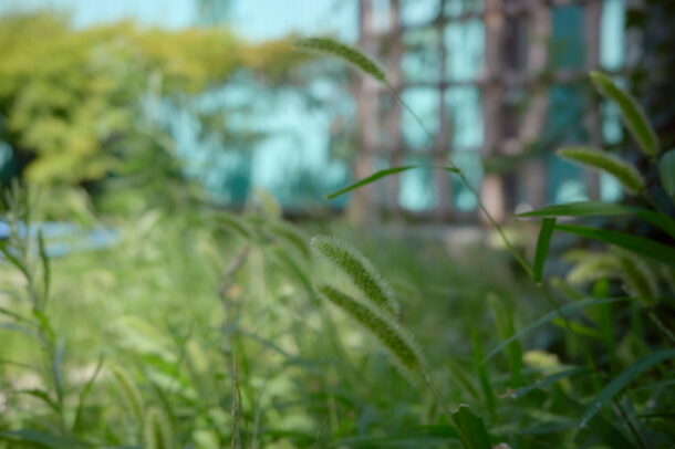 荏原二丁目児童遊園