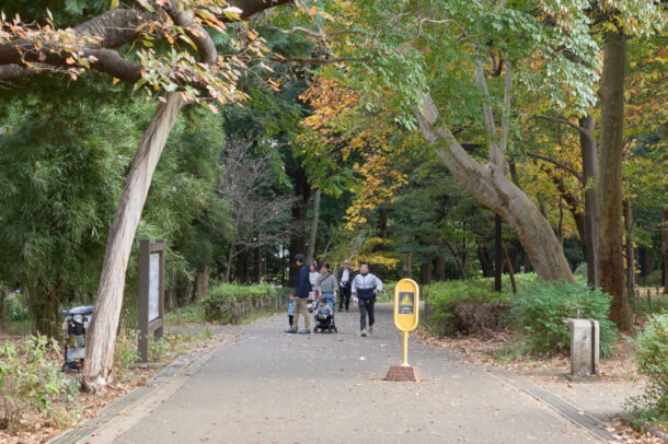都立林試の森公園